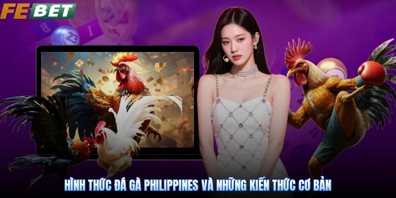 Hình Thức Đá Gà Philippines Và Những Kiến Thức Cơ Bản