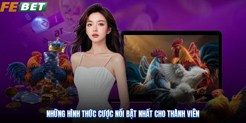 Những hình thức cược nổi bật nhất cho thành viên