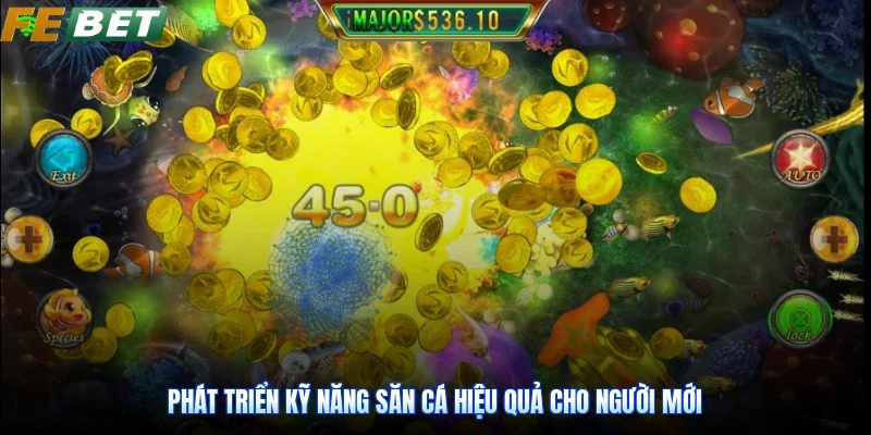 Phát triển kỹ năng săn cá hiệu quả cho người mới